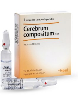 CEREBRUM