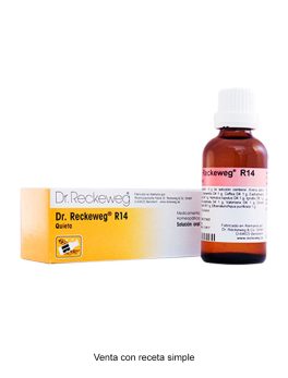 Dr. RECKEWEG R14 QUIETA 50 CC