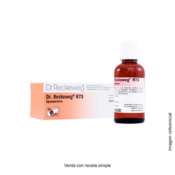 Snur R73 Dr. RECKEWEG R73 SPONDARTHRIN 50 CC | Bioalba