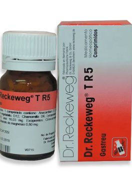 DR RECKEWEG GASTREU 200 COMPRIMIDOS
