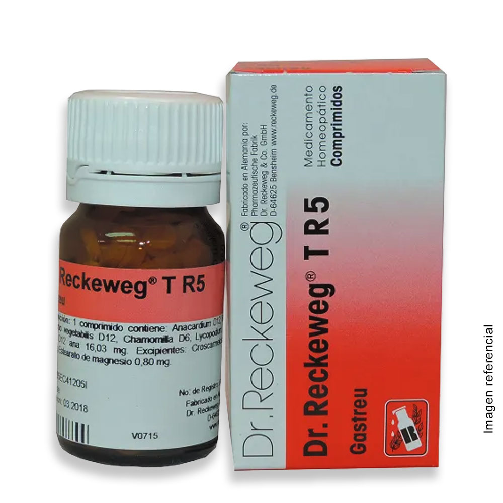 DR RECKEWEG GASTREU 200 COMPRIMIDOS